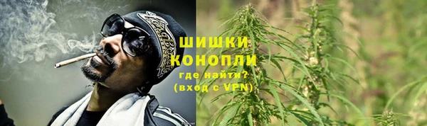 твердый Заводоуковск