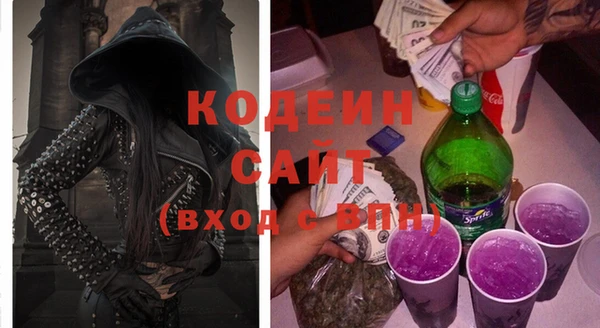 твердый Заводоуковск