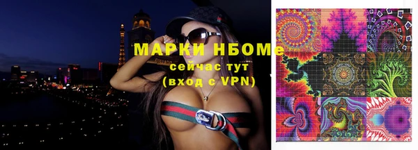 твердый Заводоуковск